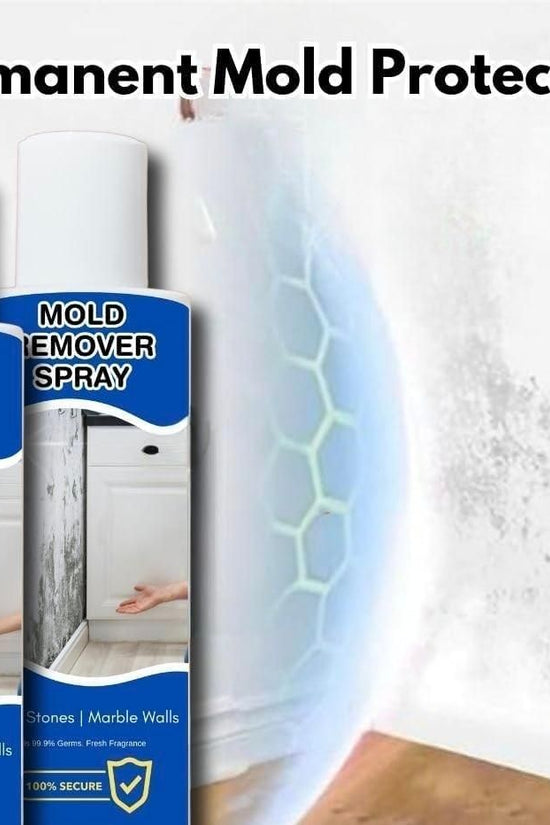Mold Remover Spray 60ml