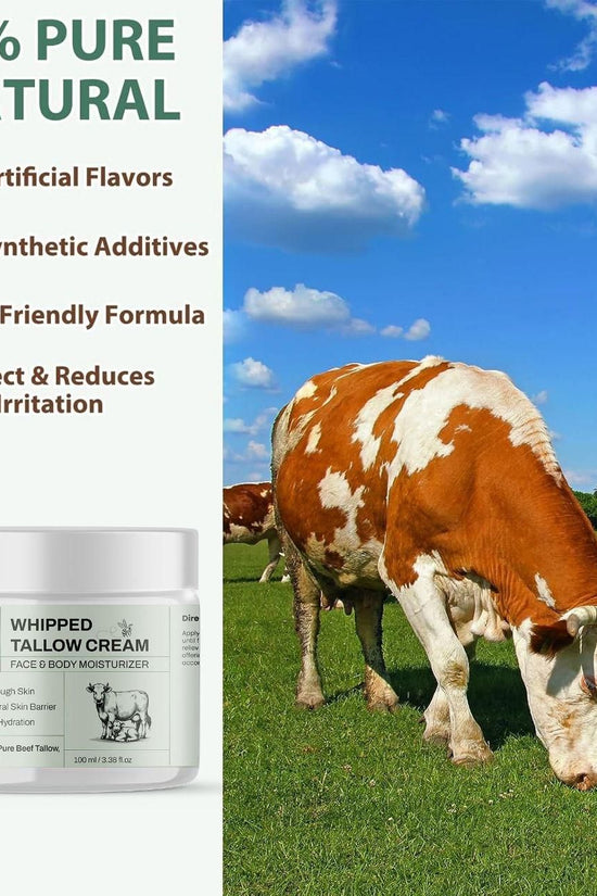 Whipped Tallow Cream 100 ml Pack of 1